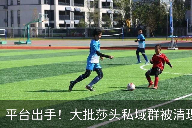 平台出手！大批莎头私域群被清理，饭圈乱象整治，全网纷纷叫好